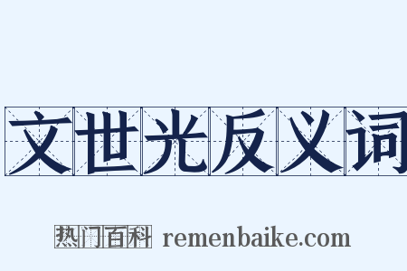 文世光反义词是什么意思的图片